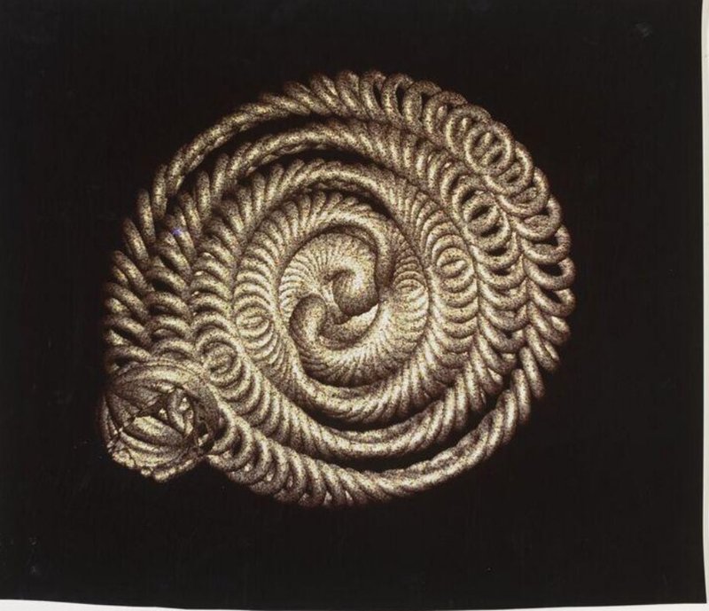Coiled Horn (Twist 5)