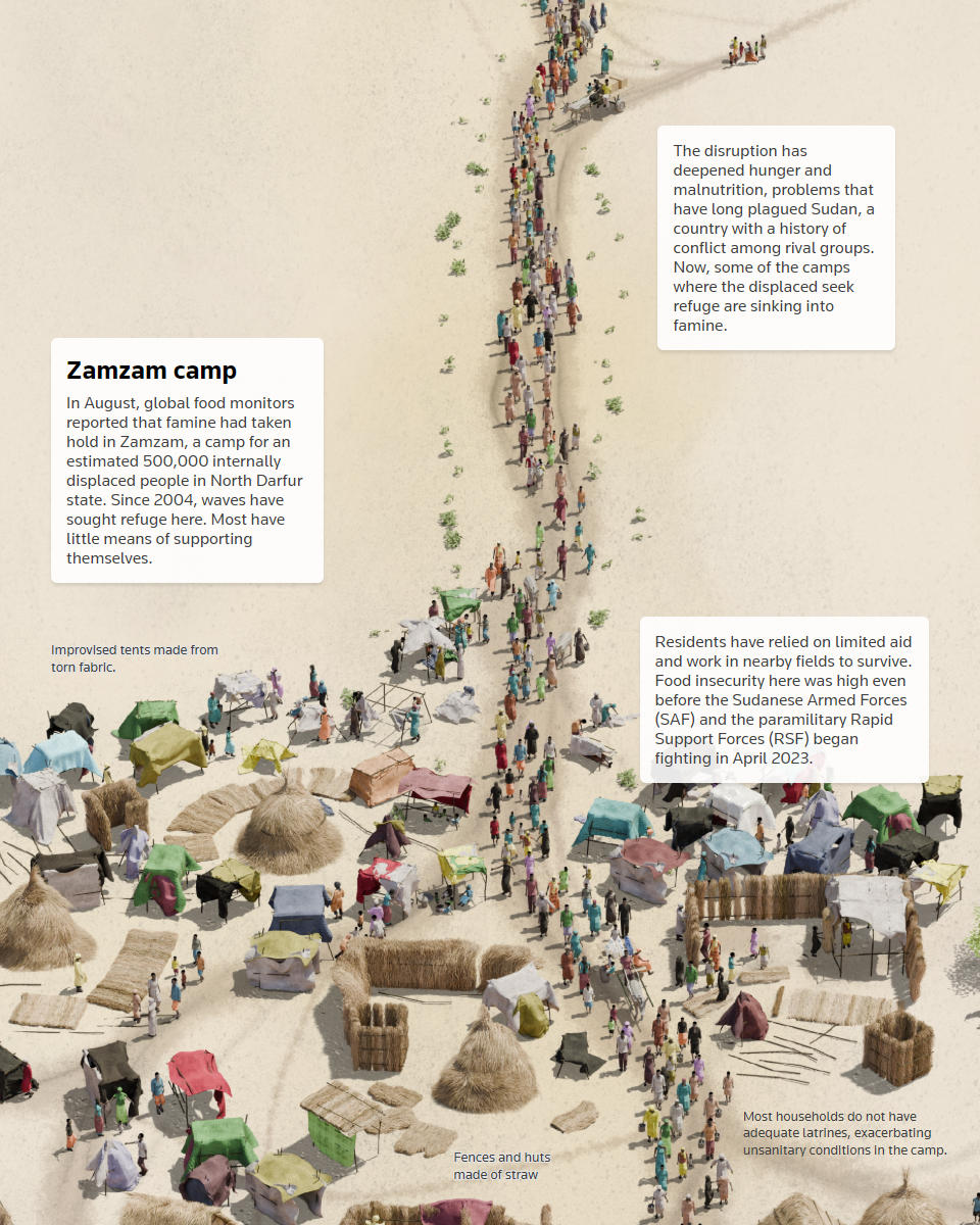 Pagina della visualizzazione