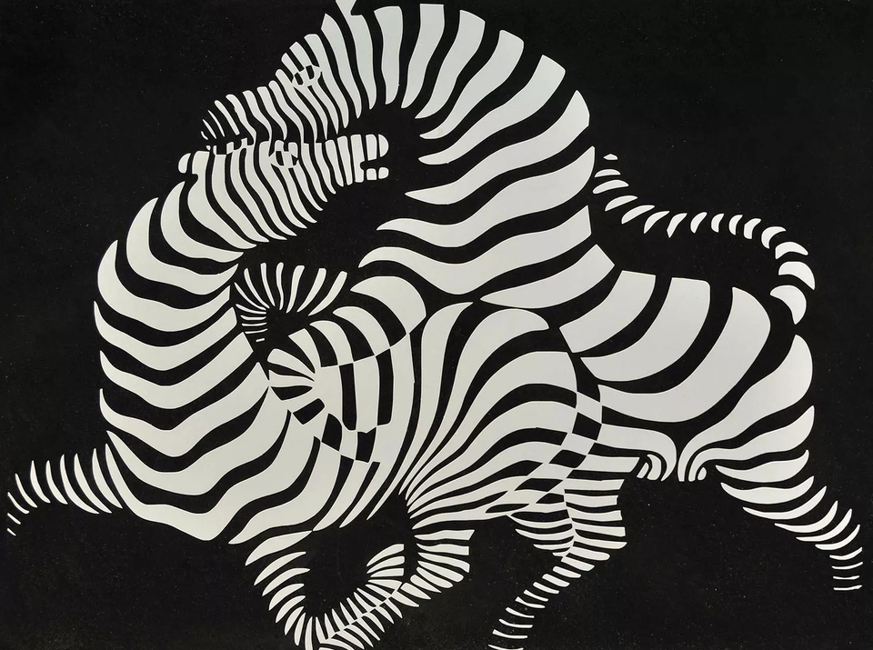 Zebra